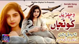 Wichhriyan Koonjan | Sad Saraiki Song | Poet Mehwish Lashari | Singer Jaani Malik