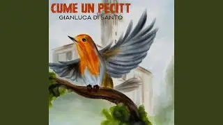 Cume un Pecitt
