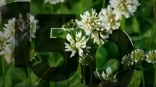 Introducing NovaGraz Herbicide: By The Numbers 150