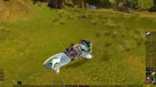 wowcrack speed hacker