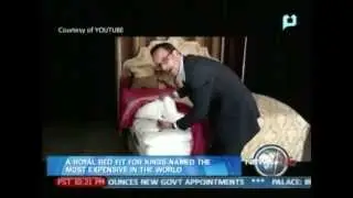 YouSurfer: Robotic band debuts in Tokyo; Royal bed fit for kings named 'most expensive' in the world