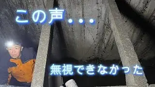 用水路に取り残された猫