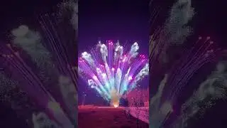 Peacock plume #fireworks #shorts #shortvideo