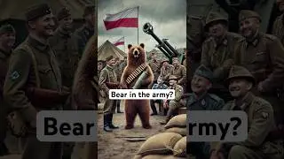 Wojtek the Bear: The Polish Army&rsquo;s Unlikely Hero #history #facts #historyfacts
