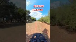 Mountainbiking in Istria: Between Pines and Olive Trees