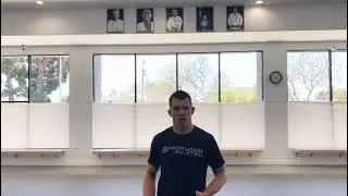 UFC 262 - Professor Fabio Leopoldo discusses Jordan Wright's TKO last weekend against Jamie Pickett