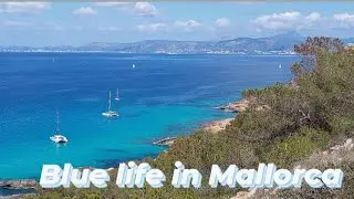 The blue life 💙 of Balearic Sea in the Mallorca island