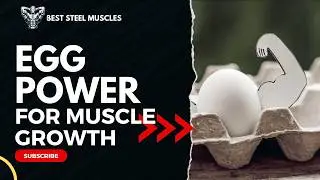 EGGS AND MUSCLE BUILDING: THE ULTIMATE PROTEIN SOURCE