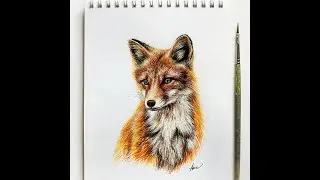 🎨 Fox drawing | Painting Time lapse | Speed Drawing | Таймлапс рисую Лисёнка 🦊 #shorts
