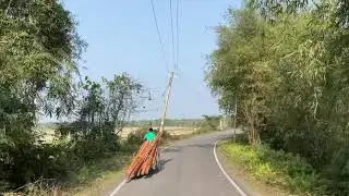 Way to Panbari Range of Manas National Park
