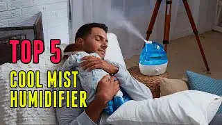 Best Cool Mist Humidifier