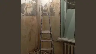 Но4ная 4ервоточина