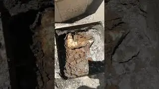 Leaking swimming pool suction pipe located and repaired in Paradise Point