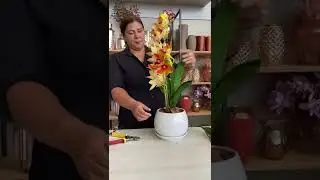 Veja o resultado desse arranjo de orqu&iacute;deas - Espa&ccedil;o Manix