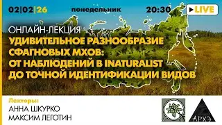 Лекция Максима Леготина «Удивительное разнообразие сфагновых мхов: наблюдения и идентификация видов»
