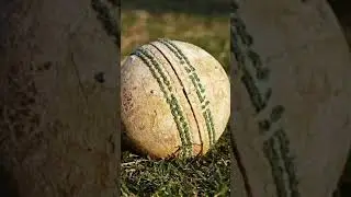 Cricket के ऐसे Rules जो आपको हैरान कर देंगे #shorts #cricket #cricketrules