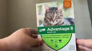 Advantage II Small Cat Flea Prevention Review