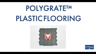 Best plastic flooring for swine! | Polygrate&trade; Nursery and Challenger Flooring | O'Mara Hog Equipment