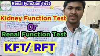 Kidney Function Tests Explained. Renal Function Tests in Bengali. @mlt_pathsala