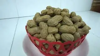 Planting and harvesting peanut on the terrace, just looking at it makes me fall in love
