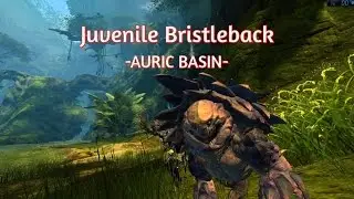 GW2 Juvenile Bristleback (Ranger Pet)