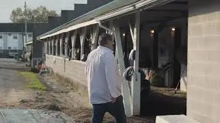 INTERVIEW - Sittin on Go's training with EQUIMETRE for the Breeder's Cup 2020 🏆