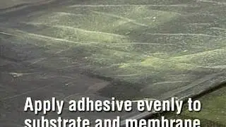 EPDM Fully Adhered Adhesive Application