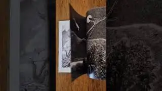 Artbook Krum - Galerie La Ligne