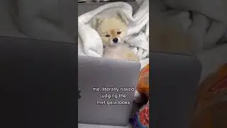 Miss dogfire 🤓#dogs #puppy  #shorts #funny #comedy #freefire #short #shortvideo