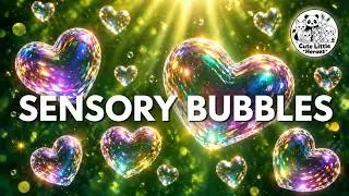 Sensory Bubbles & Calming Music for Classroom Focus | Sensory Lights for Autism Support