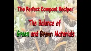 The Perfect Compost Recipe: The Balance of Green and Brown Materials