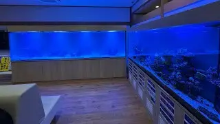 衝撃の水槽の数々をご紹介！【アクアリウムトールマン動画チャンネル！トールマンTV!】
