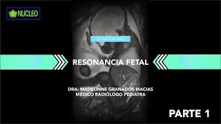 RESONANCIA FETAL - PARTE 1 DE 4