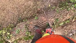 Husqvarna 560xp