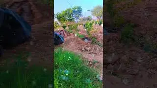 #nature #scent #farming #scentmemories #perfume #village #perfumedance #farmer