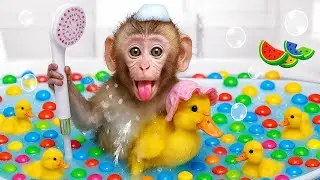 Bubu Monkey swim at Color Ball Pit Balls Pool and meet Shark Toys so Surprise