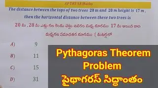 Pythagoras Theorem Problem| Parallel Distance between two Trees #trt2023  #naikirajuacademy