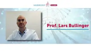 HARMONY Partner Prof. Lars Bullinger, Charit&eacute; Berlin, explains HARMONY Core Outcomes Sets