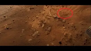MARS Fossils FOUND! 5K 360 VR True Image from Perseverance