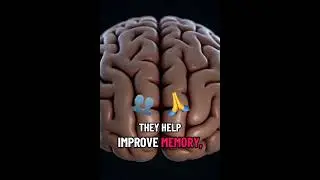 BONES ARE SMARTER #facts #education #science #learning #amazingfacts
