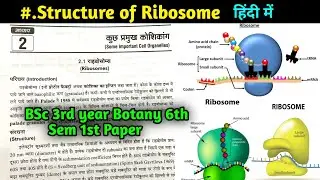 Structure and function of Ribosome || BSc 3rd year Botany 6th Semester 1st Paper