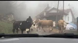 Taso ile ilk videomuz #1