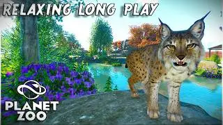 Building an ALL CARNIVORE Zoo | Planet Zoo | The Apex Reserve (Ep. 1)