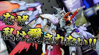 【前編】私は今、再生数が欲しい!!【ガンプラ】【SEED FREEDOM】【カルラ】
