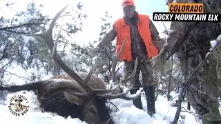 High-Altitude Elk Hunt in Fresh Snow