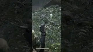 Surprise Crocodiles with a Treat in Metal Gear Solid &Delta;: Snake Eater