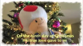 12 Days Of Christmas [REUPLOADED]
