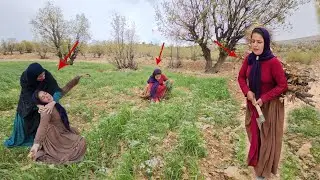 Nomadic woman in the mountains: Cobra and the struggle for survival