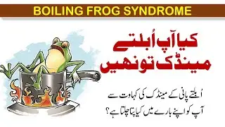 Mindful Pakistan | Boiling Frog Syndrome and Mindful Life | Kamyaby Digest - Urdu/Hindi