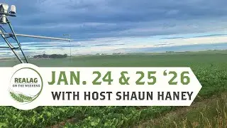 RealAg в выходные: взгляд на картофель, увеличение объемов орошения и новый председатель RDAR 24 ...
